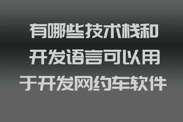 有哪些技術棧和開發(fā)語言可以用于開發(fā)網約車軟件_網約車軟件開發(fā)_網約車軟件移動開發(fā)_網約車軟件后端開發(fā)_網約車軟件前端開發(fā)